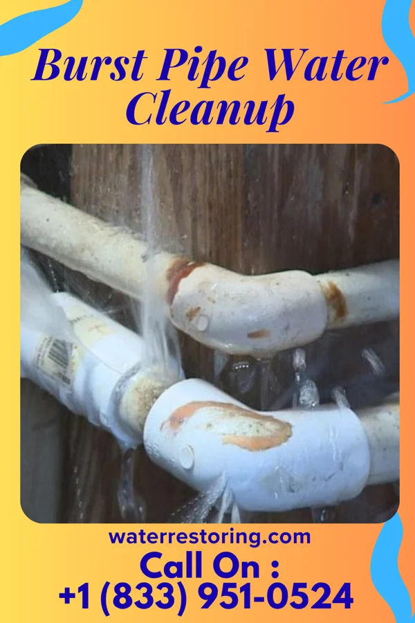 Burst Pipe Water Cleanup in Westmere, NY