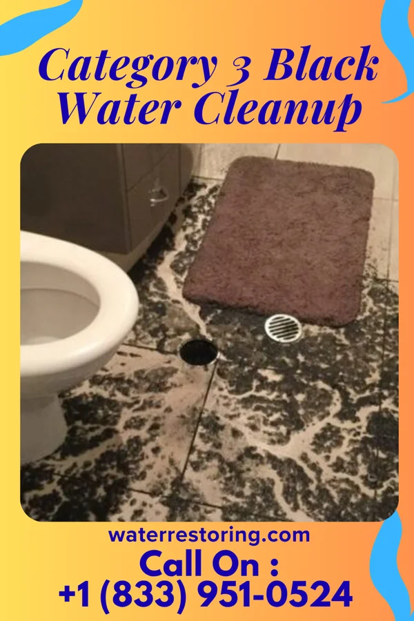 Category 3 Black Water Cleanup in Westmere, NY