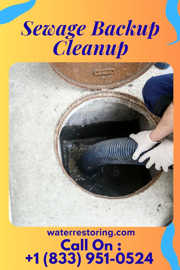 Sewage Backup Cleanup in Westmere, NY