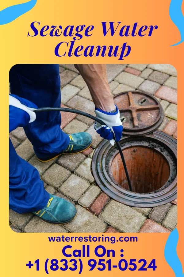 Sewage Water Cleanup in Westmere, NY
